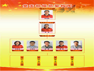 “黨建樹(shù)旗幟，黨員亮身份”