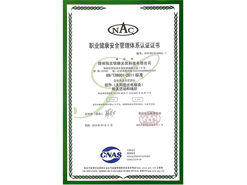 職業(yè)健康安全管理體系認證證書（中文）